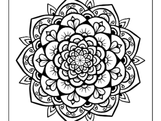 Adult Mandala Coloring Book